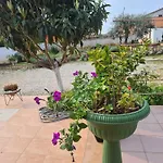 Apartment In Pula - Istrien 38416