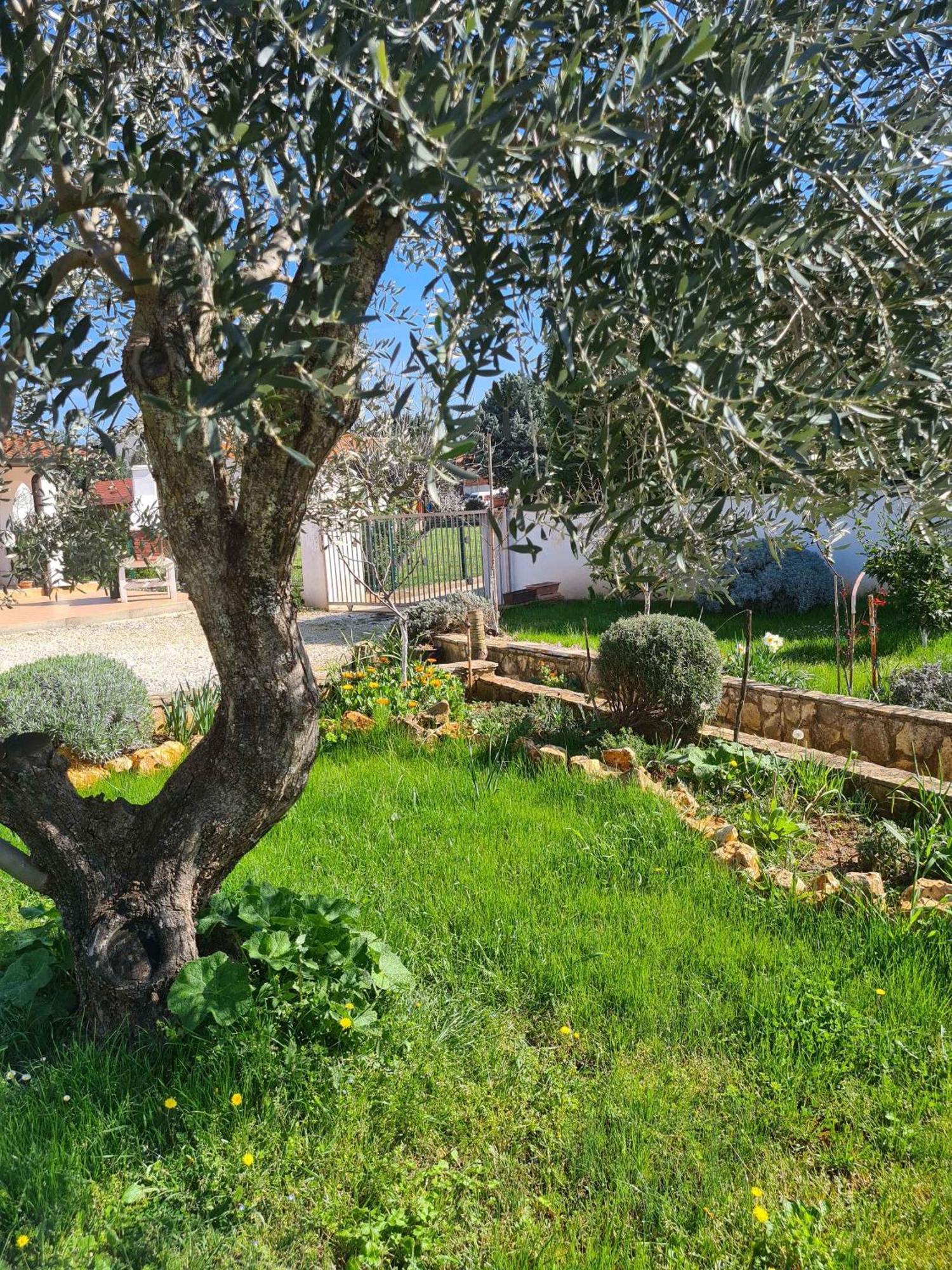 Holiday home In - Istrien 38416